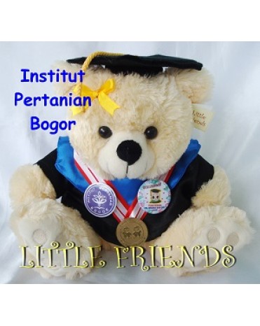 Boneka Wisuda Institut Pertanian Bogor - Pertanian (30 cm)